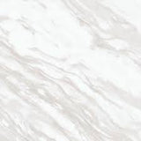 Perpetuo- Timeless White PT20
