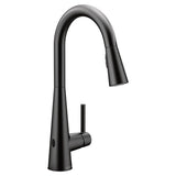Sleek With MotionSense Wave Kitchen Faucet ($$$)