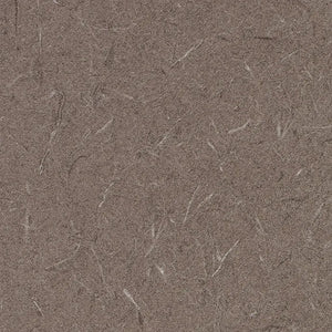 Wilsonart - 4674-60 Evening Tigris (Level 1)