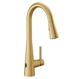 Sleek With MotionSense Wave Kitchen Faucet ($$$)