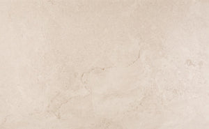 Advantage (Advantage) - Mural Taupe AQ02