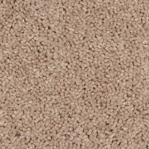 Neutral Base Plus - Sand Storm 759 (Included)