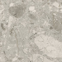 Arborite - P1014UL Terrazzo Grande (Level 2)