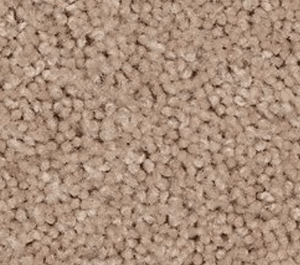 Neutral Base Plus- Sand Storm- 759 (Included)