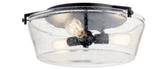 Flush Mount - Other