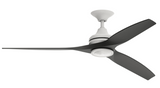 Ceiling Fans-With Light