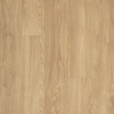 Sullivan-Suede Oak 450 (Level 1)