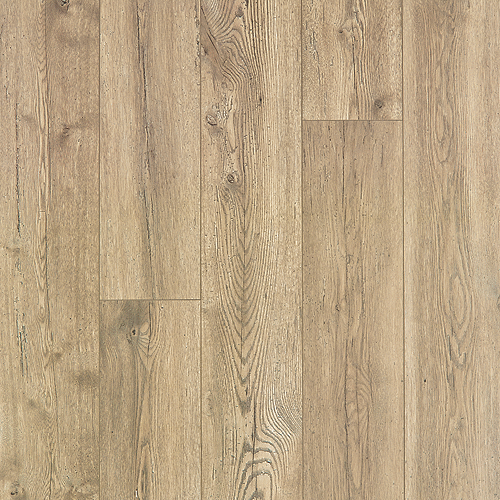 Riverchase – Canvas Oak 33575-01 (Level 2)