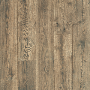 Riverchase – Gilded Oak 33575-04 (Level 2)
