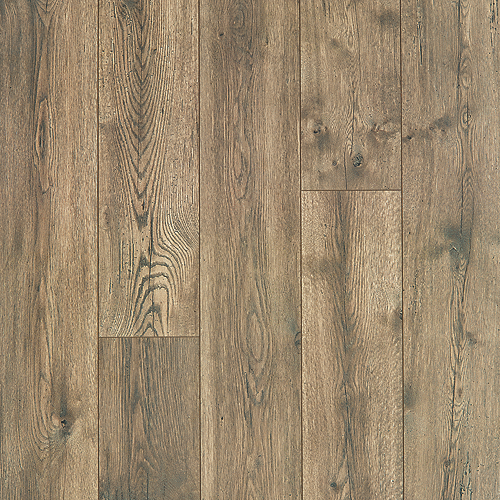 Riverchase – Gilded Oak 33575-04 (Level 2)