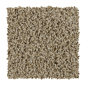 Authentic Look-Quiet Beige-742 (Level 3)